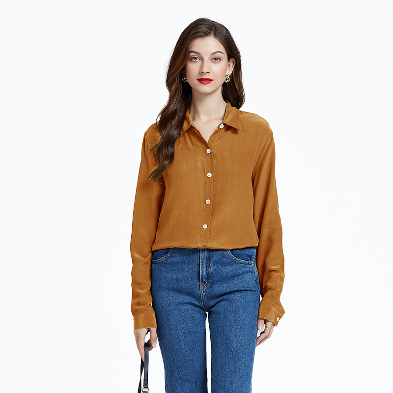 Silk Long Sleeve Casual Work Blouse